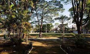 map[class:w-full h-full object-cover object-center src:images/home/bairro/eletricista-bela-alianca.png]